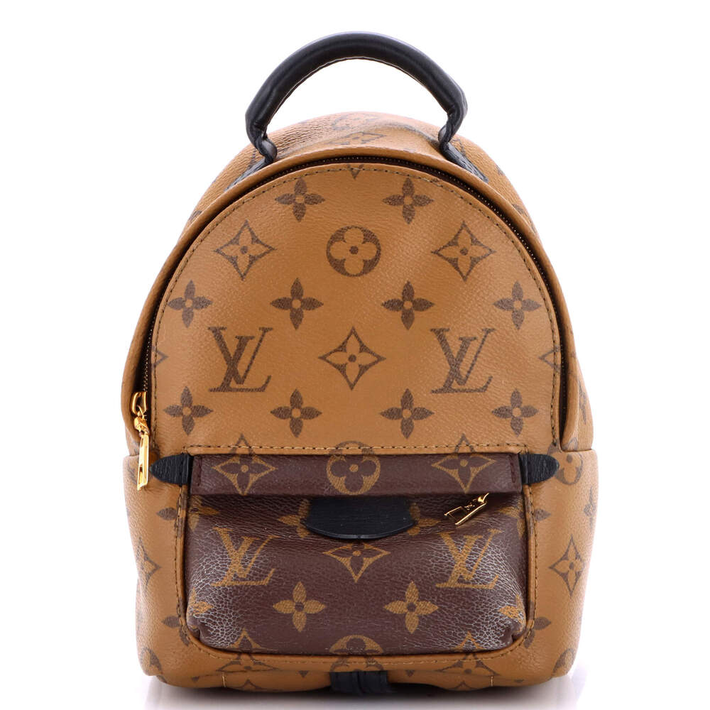 Louis Vuitton Palm Springs Backpack #265940L19B